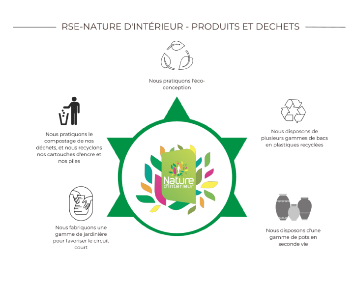 Entretien de végétaux d'intérieur