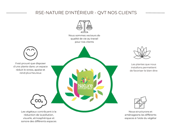 Entretien de végétaux d'intérieur