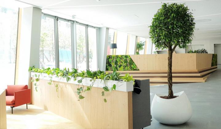 Service de location plante d'intérieur Lille