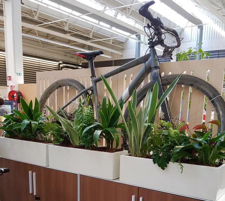 Installation plante verte de bureaux Lille