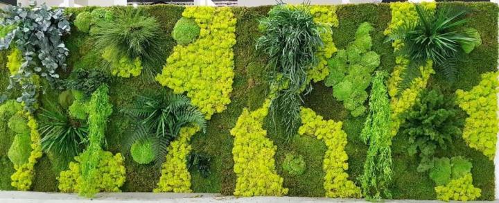 Entretien de végétaux d'intérieur Lille