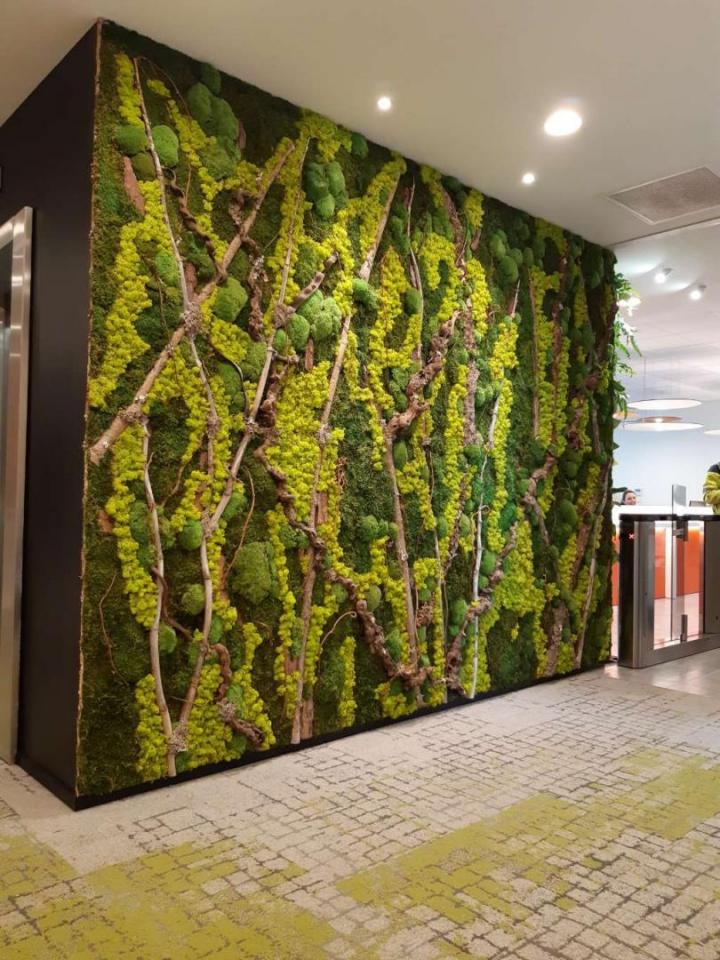 Service de location plante d'intérieur Lille
