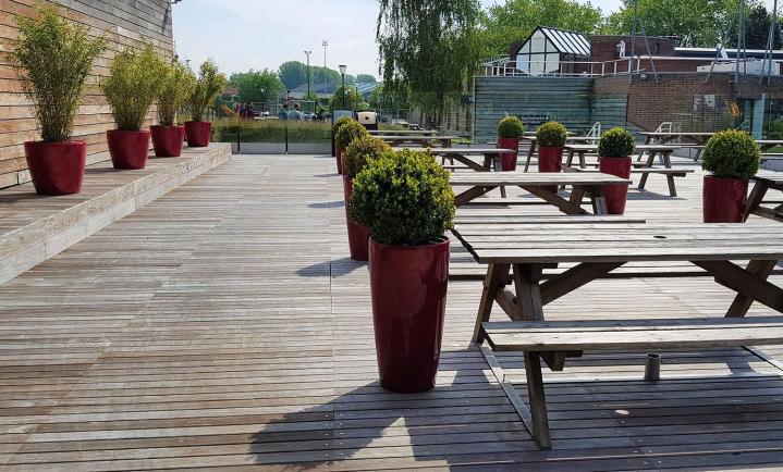 Pose mur végétal Lille