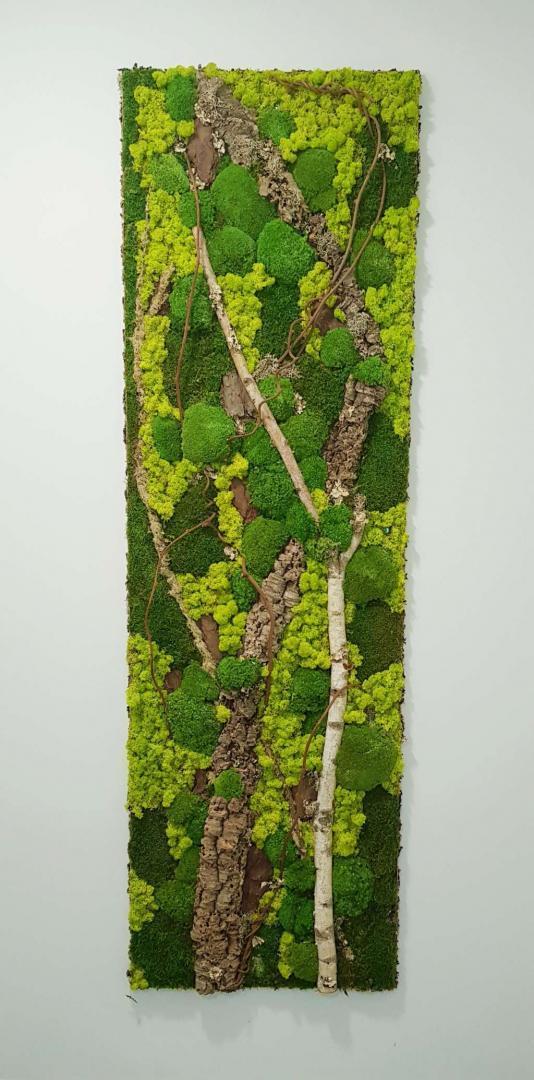 Pose mur végétal Lille