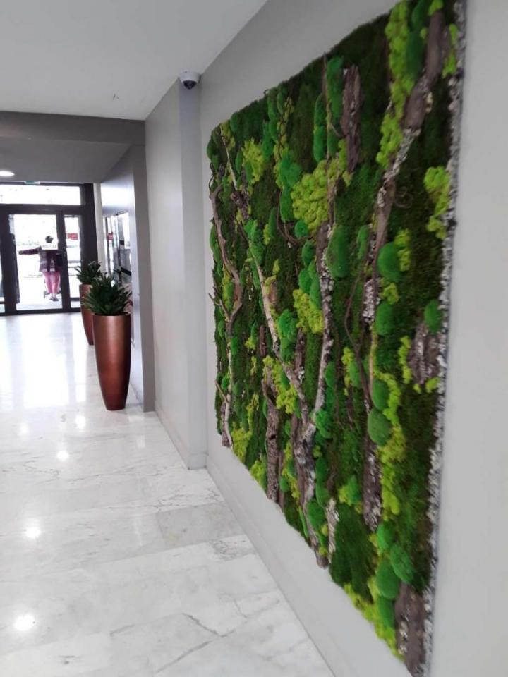 Installation mur végétal Lille