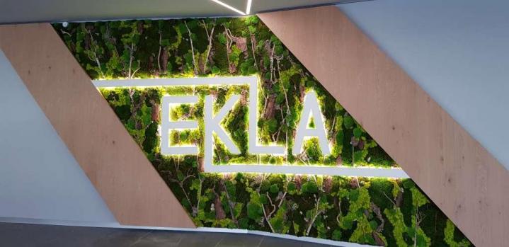 Pose plante verte de bureau Lille