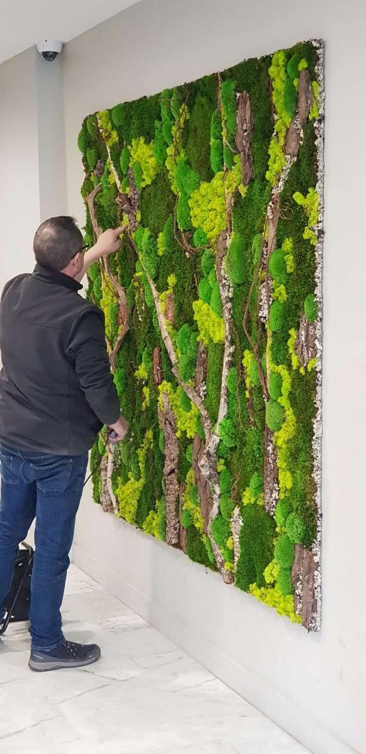 Magasin de plante dépolluante Lille