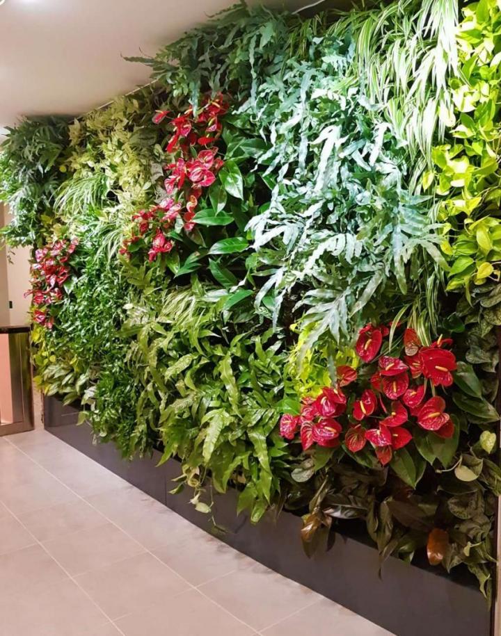 Installation mur végétal Lille