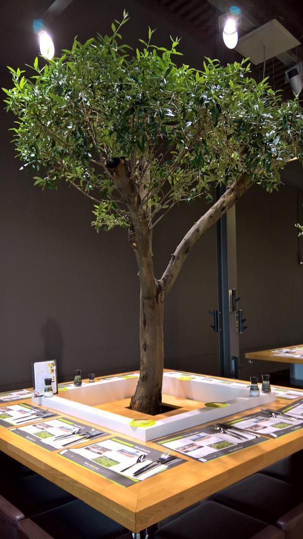 Installation plante verte de bureaux