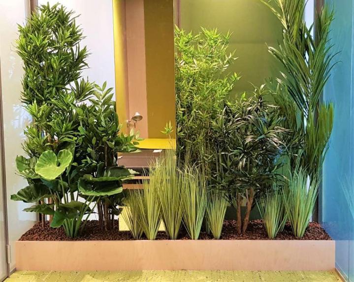 Entretien plante d'intérieur Lille