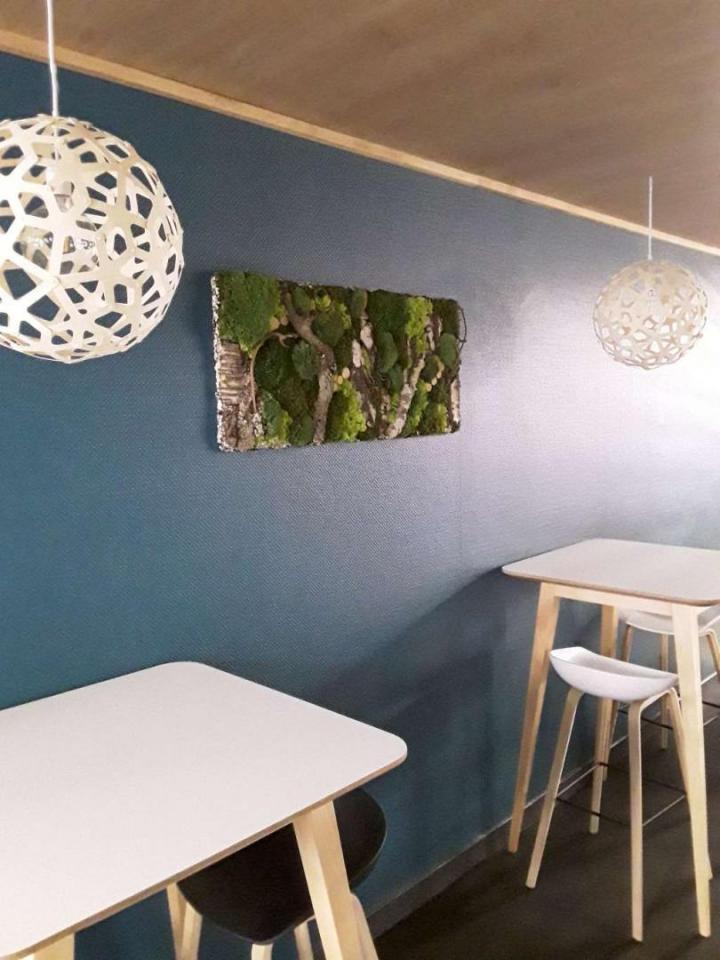 Pose mur végétal Lille