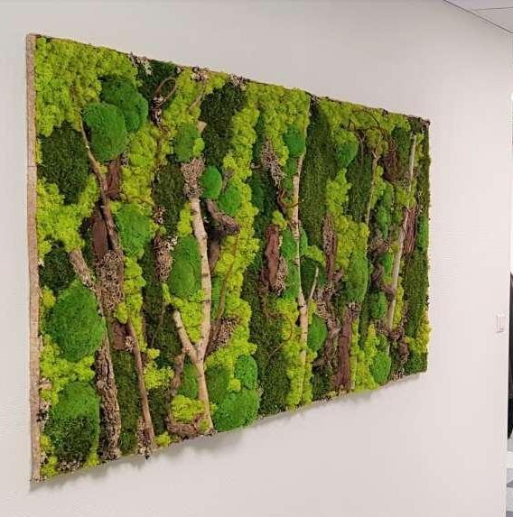 Pose plante verte de bureau Lille