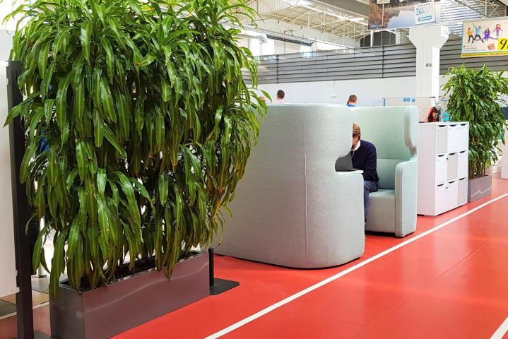 Installation plante verte de bureaux Lille