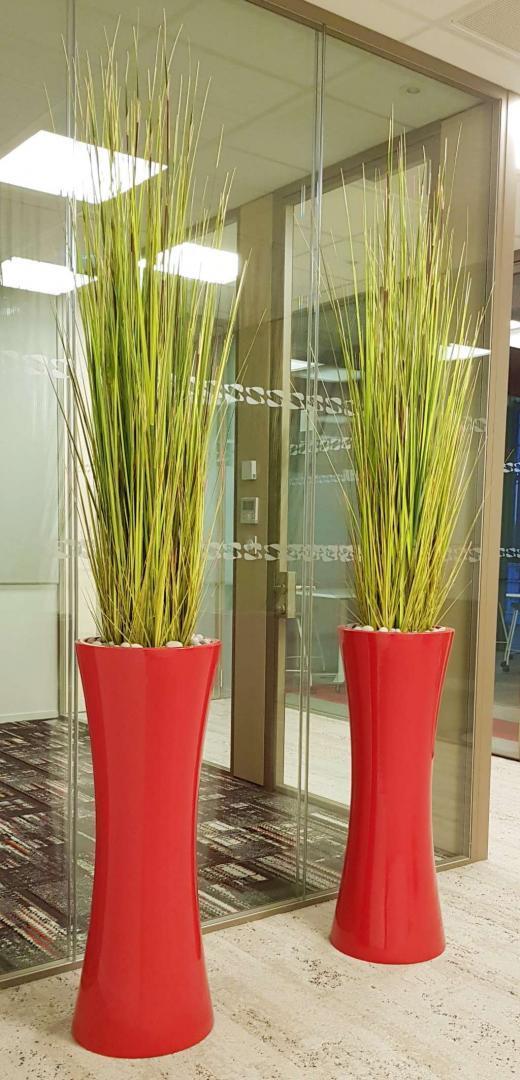 Installation plante verte de bureaux Lille