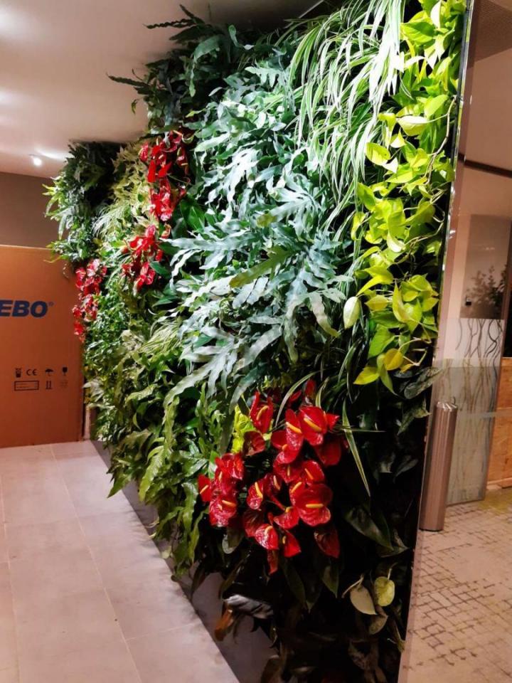 Location plante d'intérieur Lille