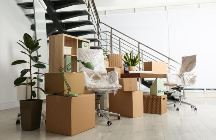 Paysagiste d'intérieur, Courbevoie