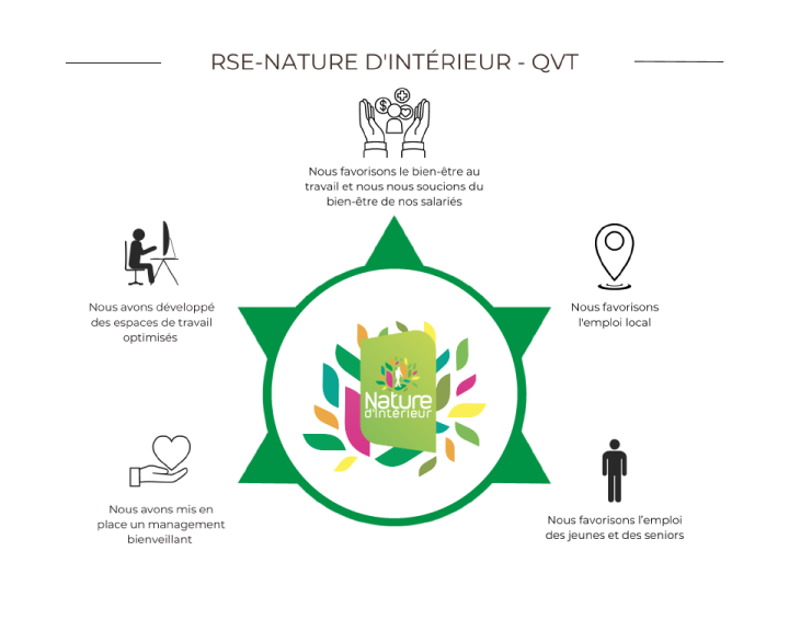 Entretien de végétaux d'intérieur