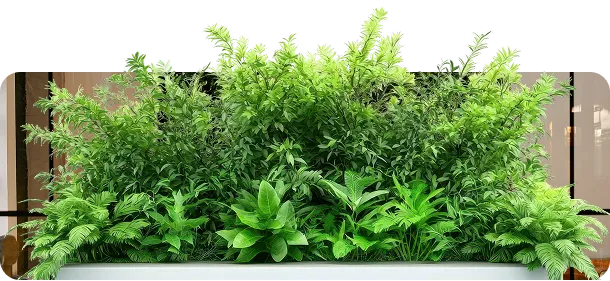 Entretien & services