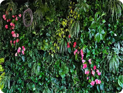 Entretien & services