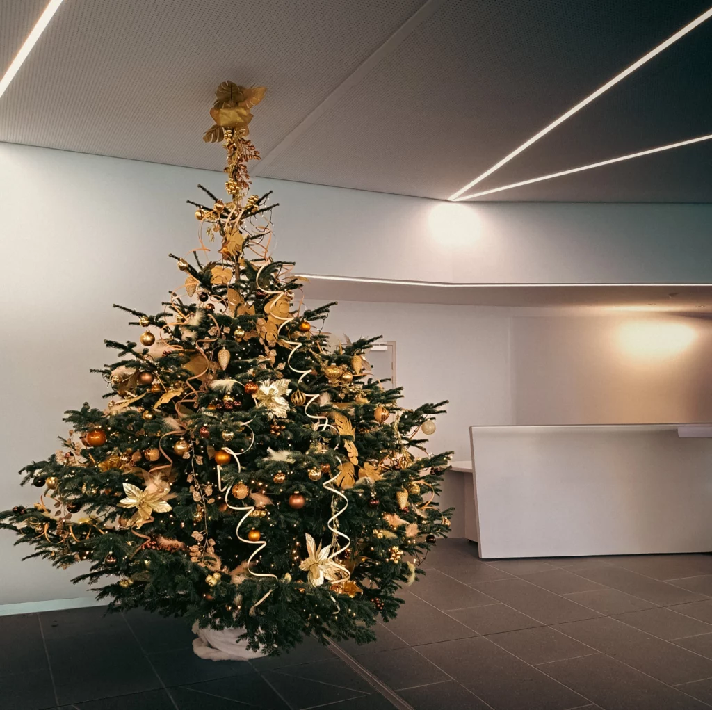 Location de sapin de Noël naturel décoré dans un hall d'accueil d'entreprise