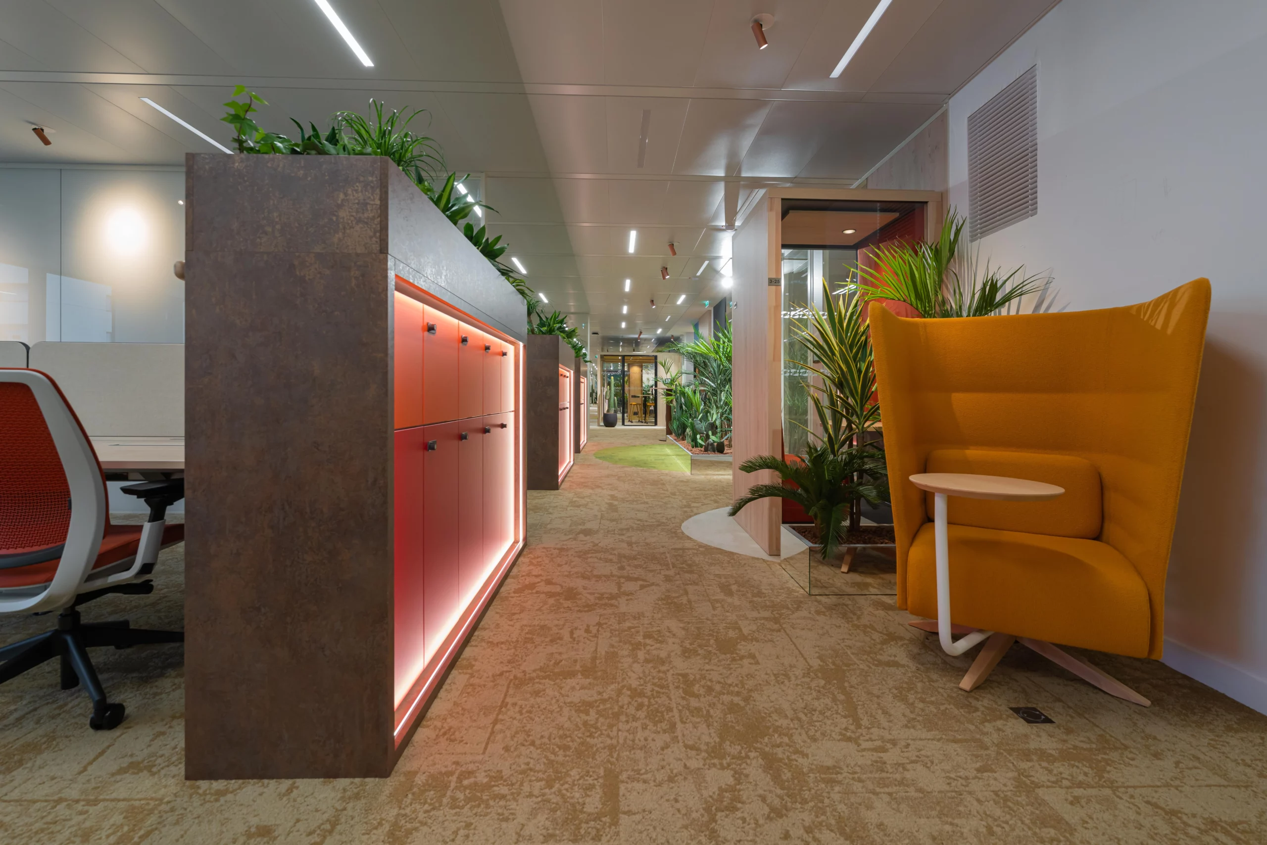 Location de plantes vertes à Lille et Paris : la solution flexible pour les entreprises