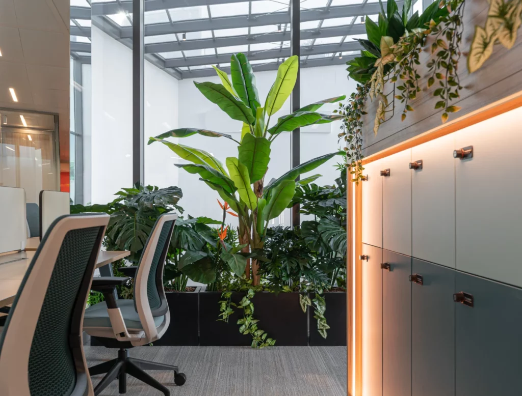 Bureau professionnel végétalisé avec grandes plantes tropicales location de plantes vertes en entreprise
